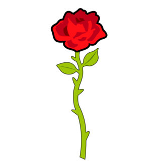 324x324 Rose Pngheart