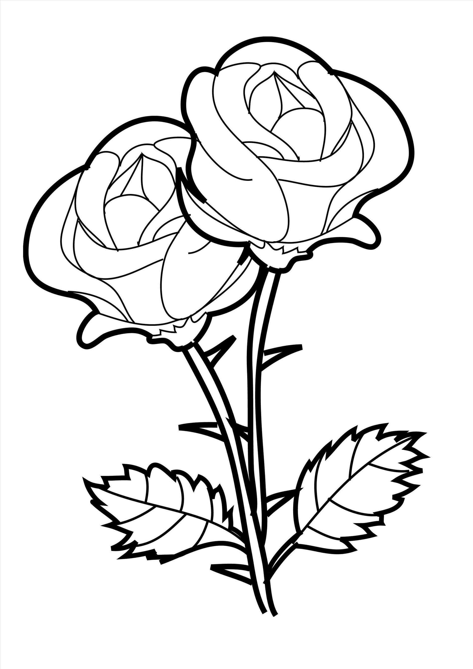 Single Rose Drawing | Free download on ClipArtMag