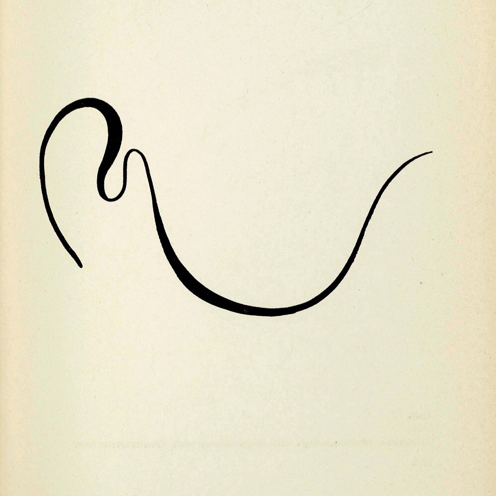 1000x1000 ego is a rat on sinking ship of being