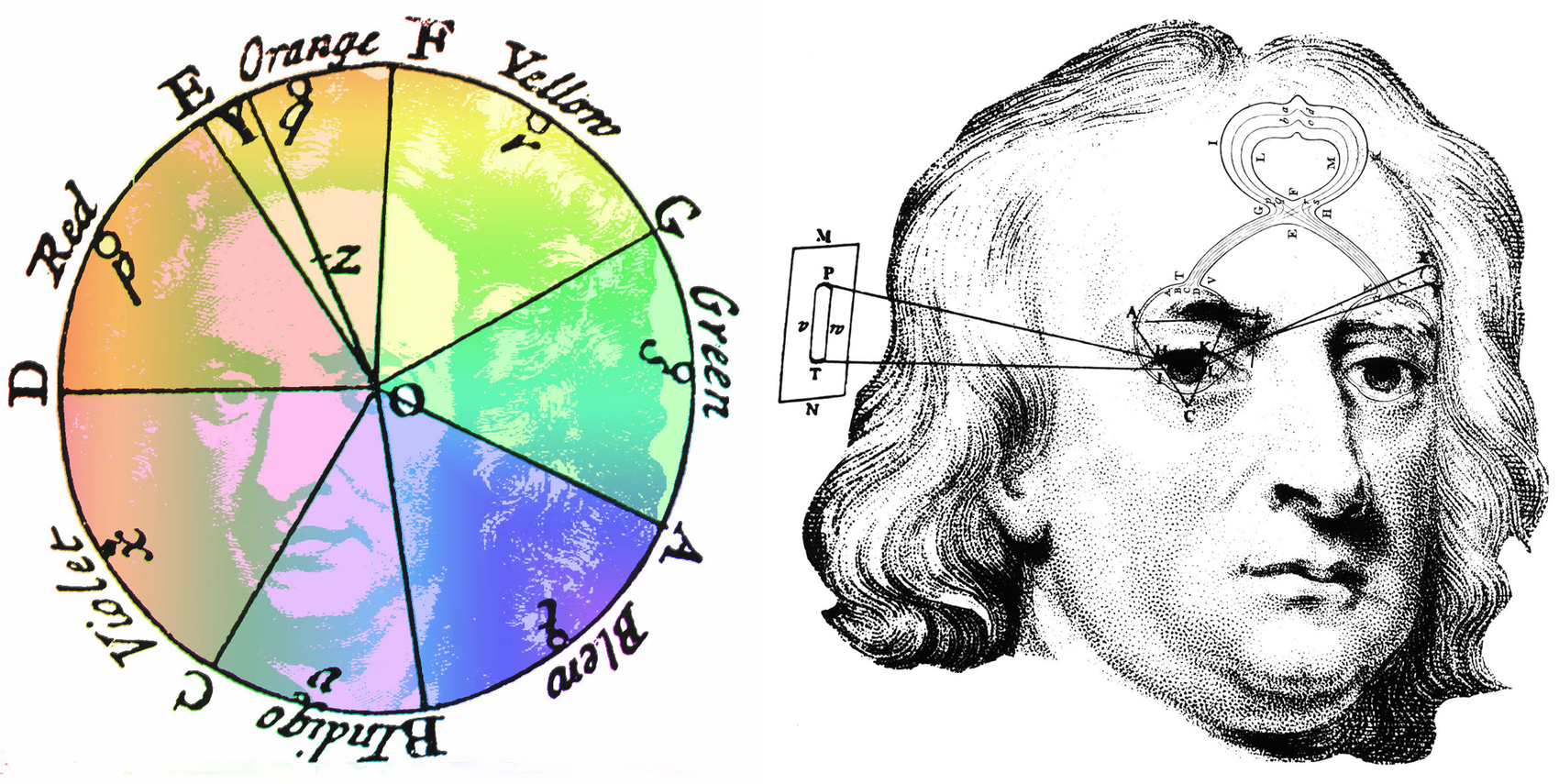 1700x855 Isaac Newton Portraits Of European Neuroscientists