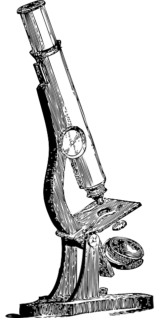 320x640 Robert Hooke For And Children Robert Hooke Homework Help