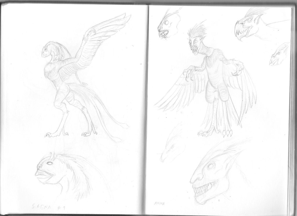 1024x745 harpy drawing siren for free download