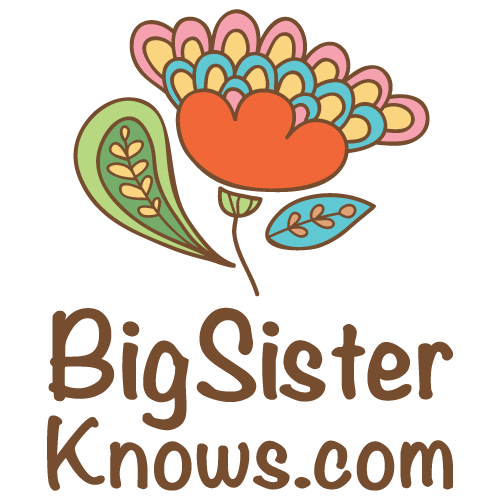 500x500 Get The Newsletter! Big Sister Knows