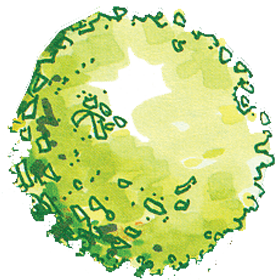 900x900 Things I Wish I Knew During Architecture School Site Plan