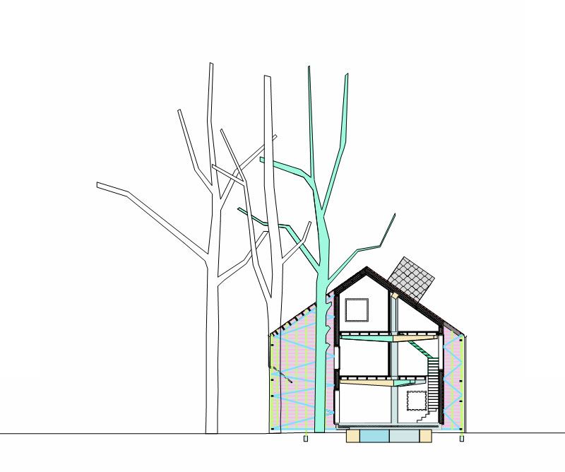 800x668 House Bern Heim Beuk