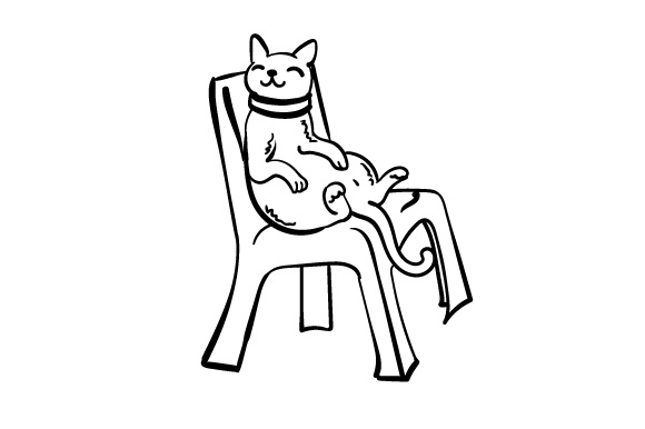 580x386 Cat Sitting On Chair