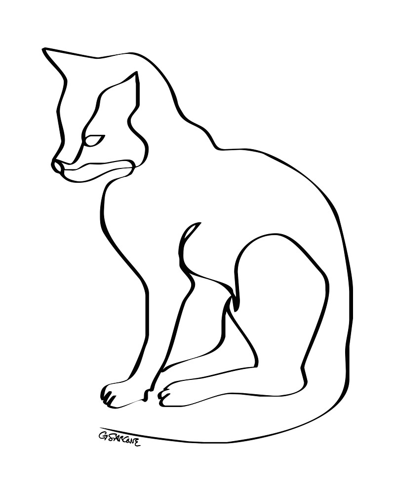 800x1000 Sitting Cat