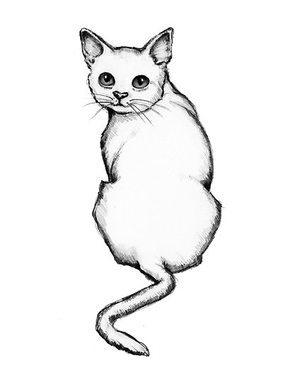 415x550 Cat Outline Drawing, Looking Over Shoulder, Kitty Posters