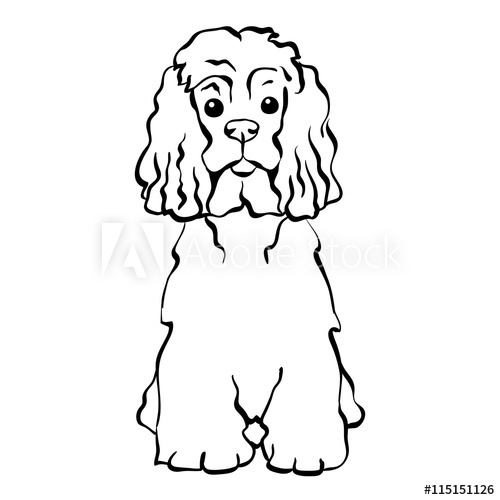 500x500 Sketch Funny Dog American Cocker Spaniel Breed Sitting Hand