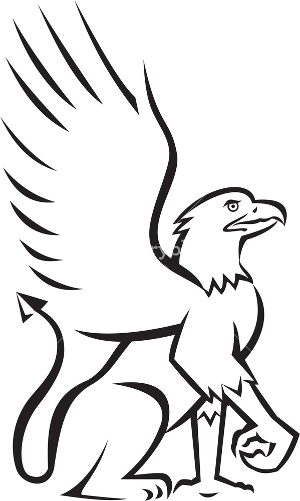 599x1000 illustration of a griffin, griffon, or gryphon sitting down viewed