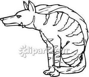 300x259 Black And White Striped Hyena Sitting Down