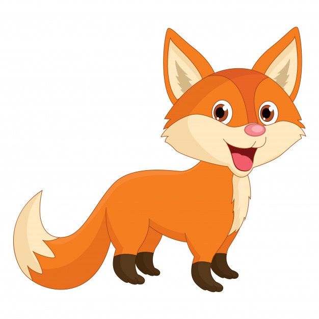 626x626 Fox Vectors, Photos And Free Download
