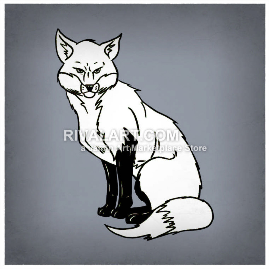 946x946 Sitting Fox In Color