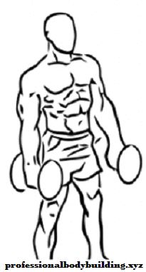 205x381 Best How To Get Six Pack Abs Fast Fastest And Easiest Way