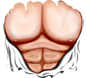 300x270 Ripped Muscles Six Pack Chest