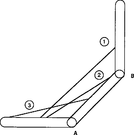 526x528 a method for the determination of the force length relation