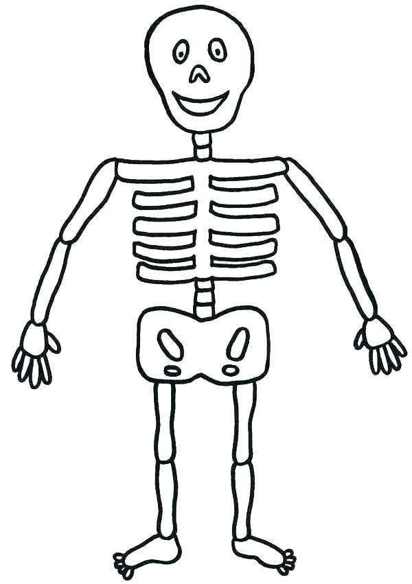 600x851 Printable Halloween Skeleton