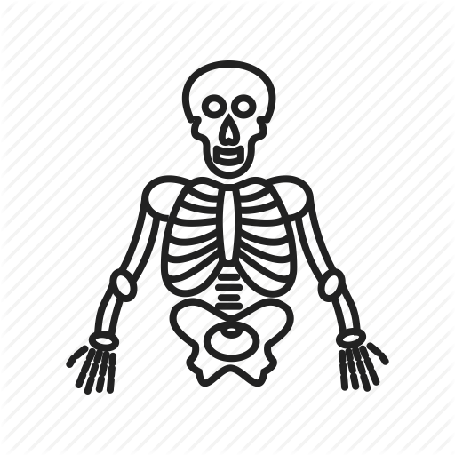 512x512 Anatomy, Body, Human, Medical, Skeleton, Skull Icon