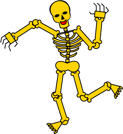490x533 Download How To Draw Skeleton