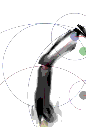 292x433 How To Position A Sprite In A Animation Skeleton