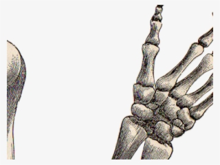 320x240 Arm Png,  Transparent Arm Png Image Free Download