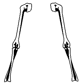 285x294 Collection Of Free Skeleton Drawing Arms Download On Ui Ex