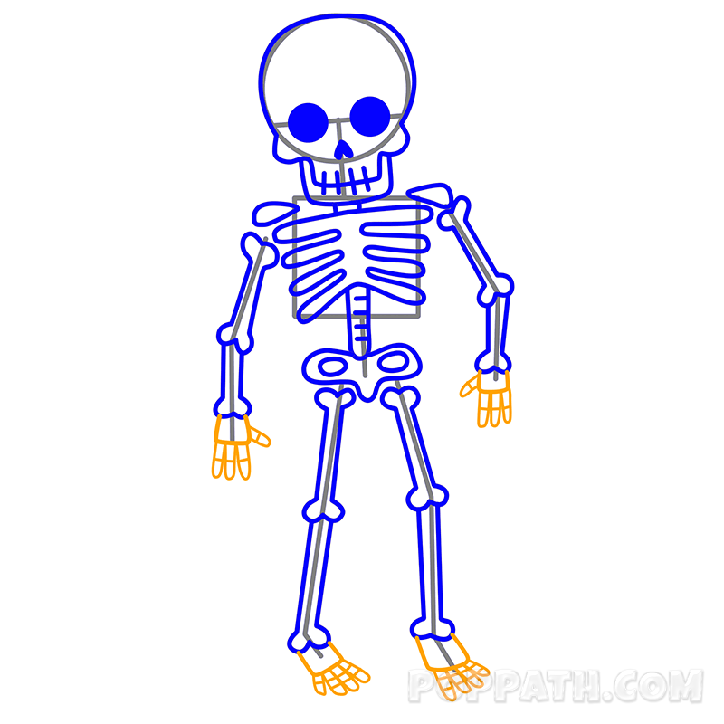 Skeleton Body Drawing | Free download on ClipArtMag