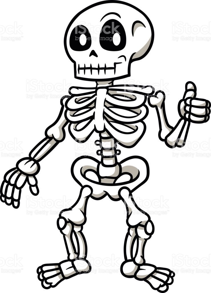 739x1024 Image Result For Skeleton Cartoon Drawing Arms Inspiredhelpful