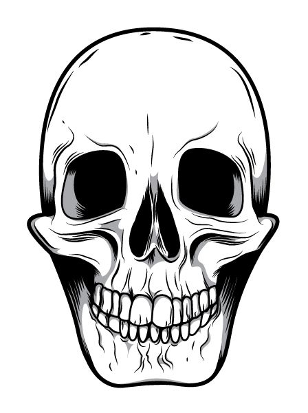 448x600 Skeleton Face Clip Art Mean Skull Drawings Good Ideas