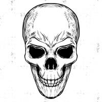 200x200 Skeleton Free Vector Art