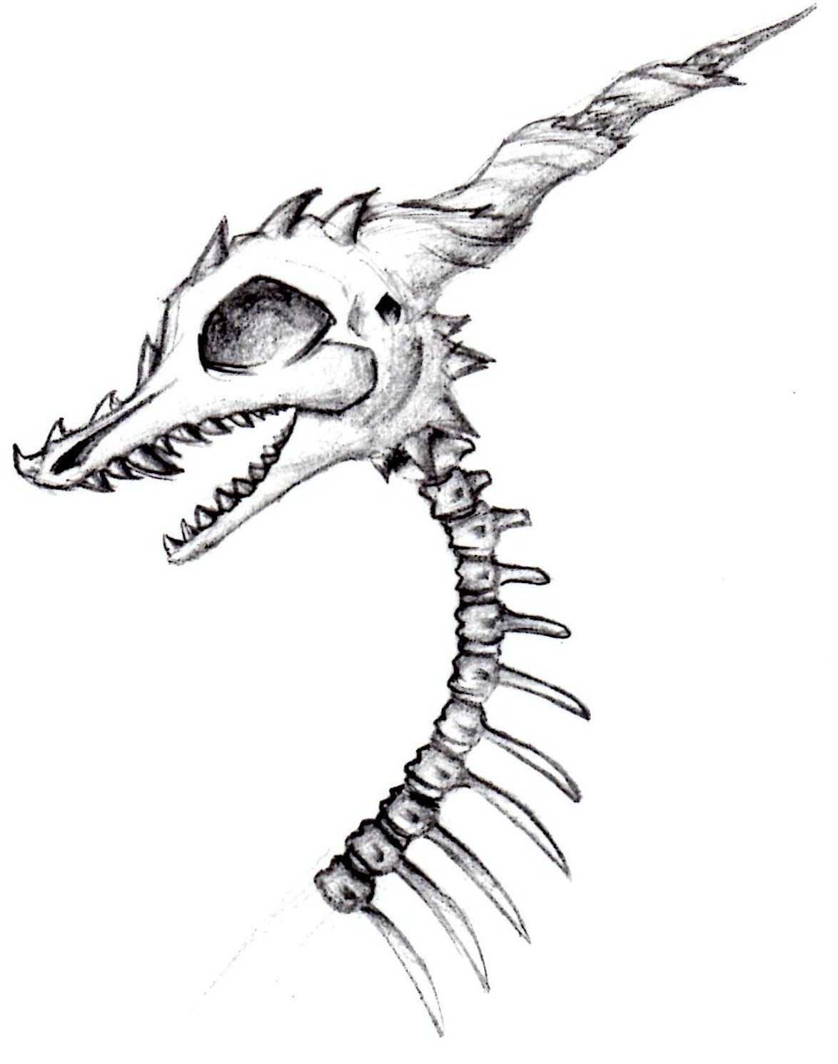 1174x1491 Dragon Skull Weasyl