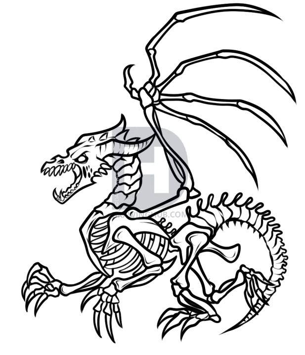 617x720 How To Draw A Skeleton Dragon, Step
