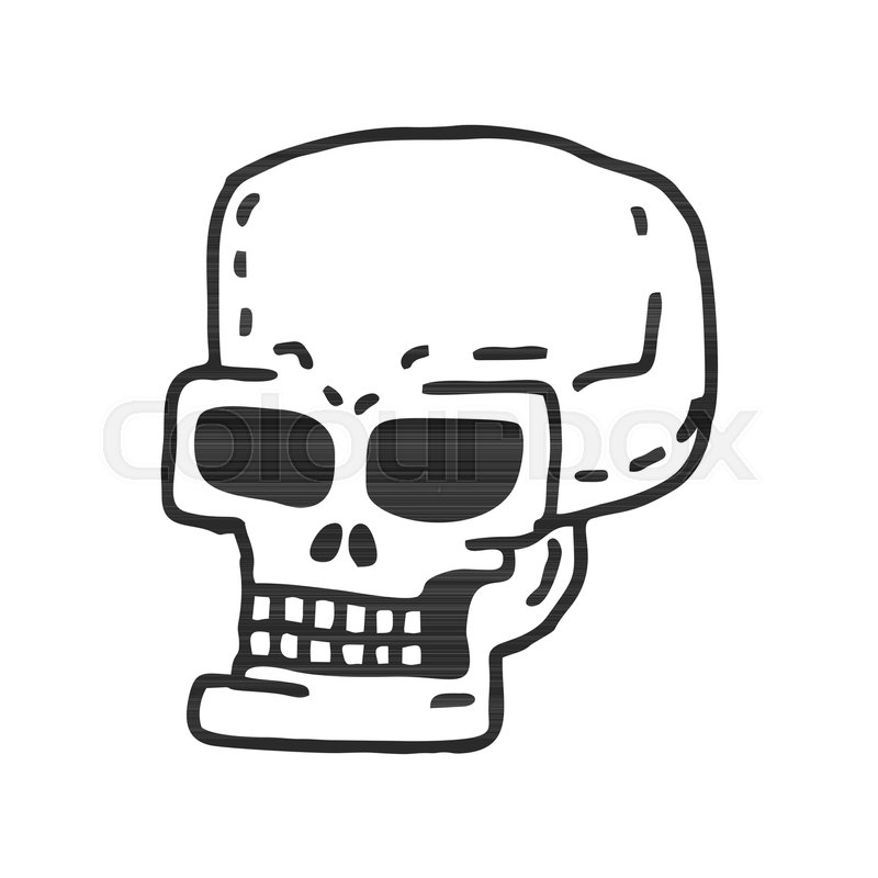 800x800 Skull Cartoon Skeleton Head Drawing Stock Vector Colourbox