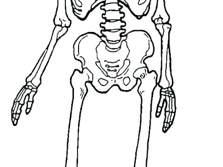 440x330 Coloring Pages Flowers For Adults Disney To Print Of Animals Human