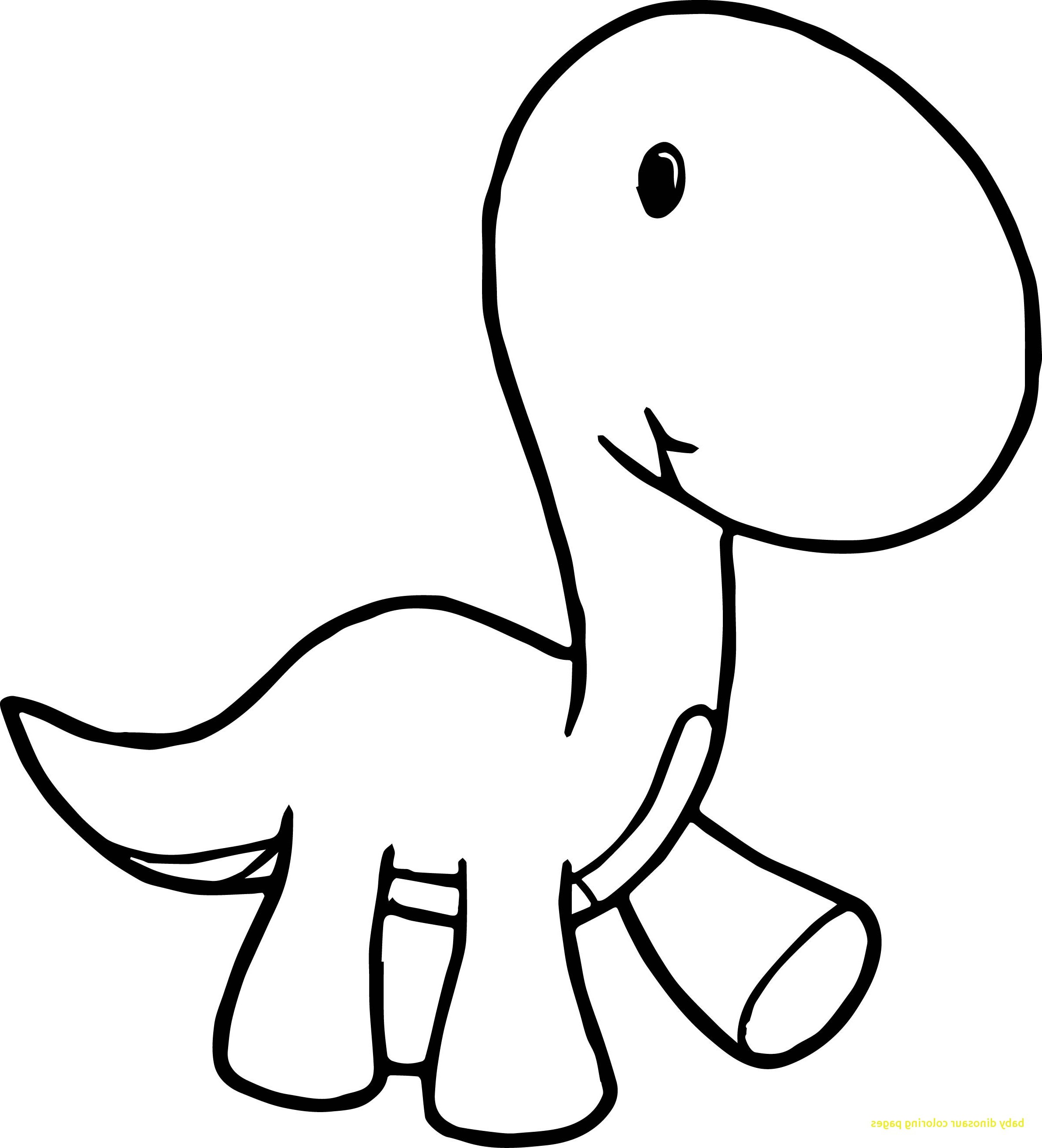 2380x2622 Dinosaur Skeleton Drawing Easy Step