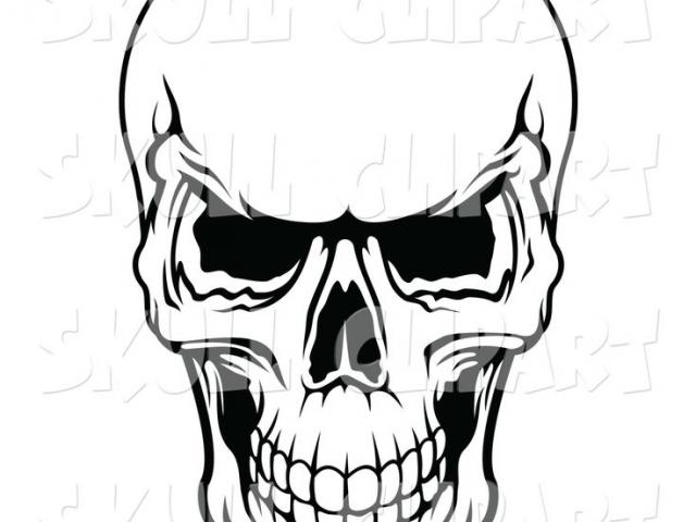 640x480 Skeleton Face Clipart