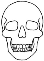 150x211 Easy Drawing Of Skulls