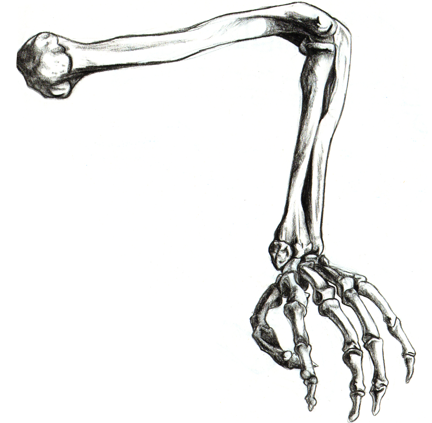 Skeleton Feet Drawing