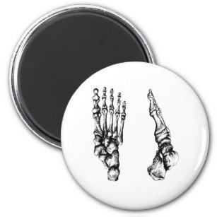 307x307 Dem Bones Gifts Gift Ideas Zazzle Uk