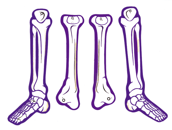 716x539 Make A Day Of The Dead Skeleton Puppet Inside Mexico