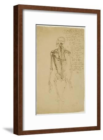 333x450 Drawing Of A Man's Skeleton Giclee Print