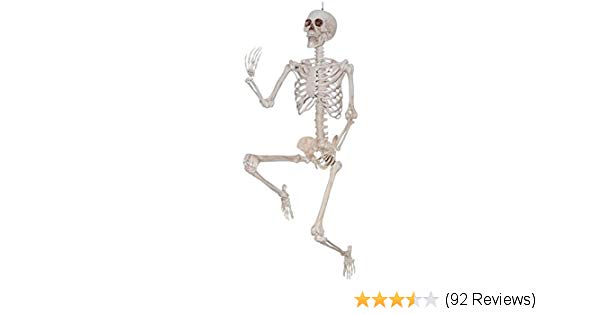 600x315 sunstar industries foot life size pose hold