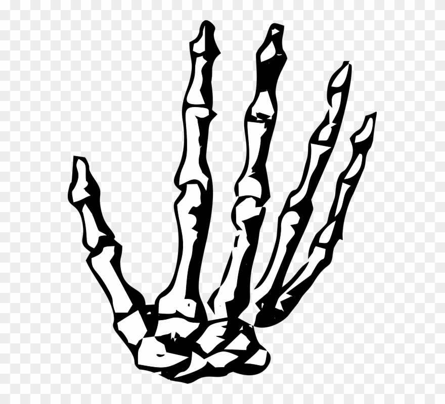 880x800 Hand, Skeleton, Skeleton Hand, Halloween, Human, Bone