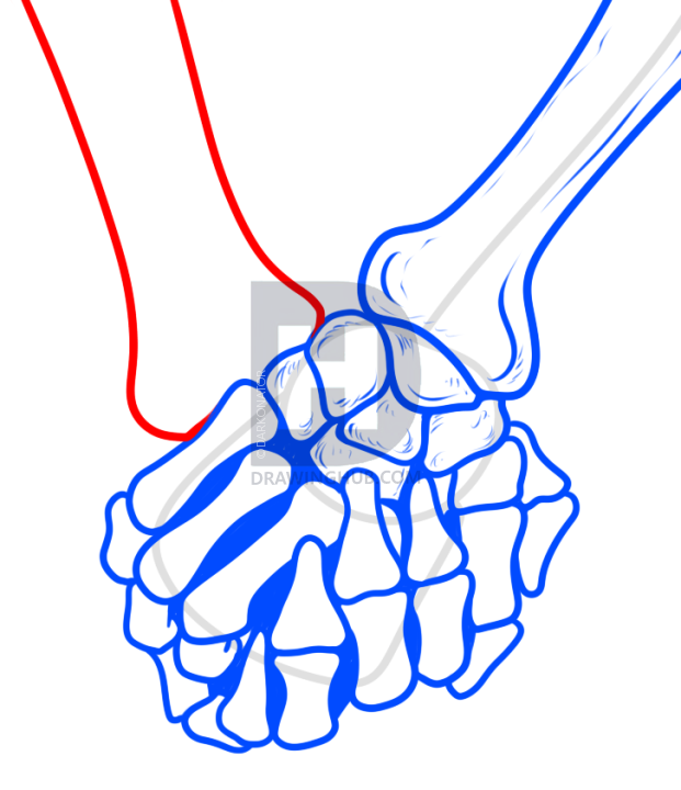 621x720 How To Draw Skeleton Hands, Step