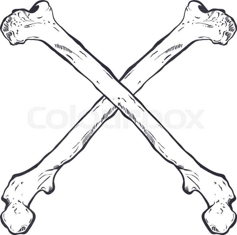 800x792 Crossed Bones