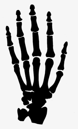 300x493 Skeleton Hand Png, Transparent Skeleton Hand Png Image Free