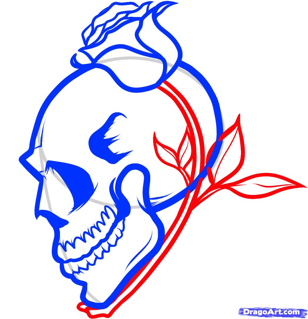 1048x1085 How To Draw A Skull And Roses, Skull And Roses, Step