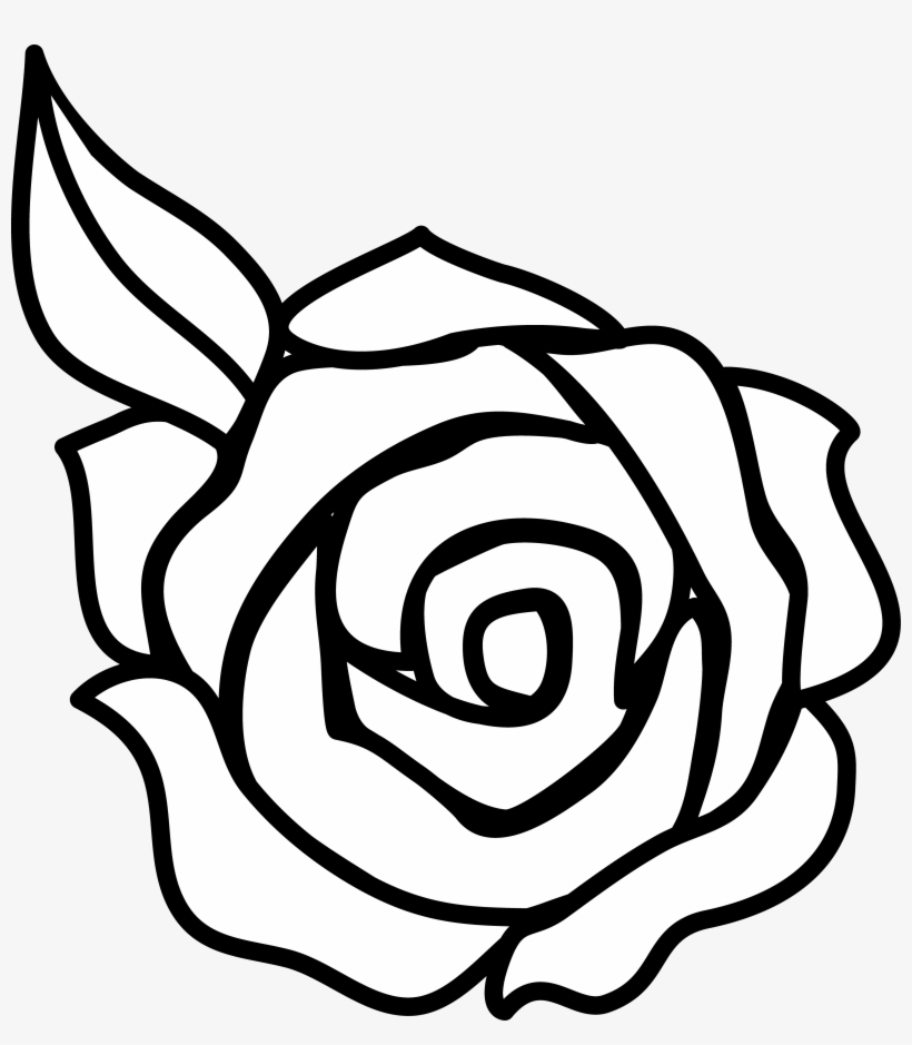 820x939 Rose Drawing Png Download Transparent Rose Drawing Png Images