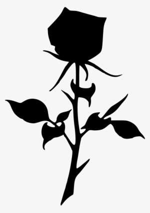 300x427 Rose Png Download Transparent Rose Png Images For Free