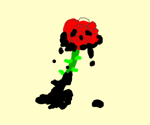 300x250 A Skeleton Hand Holding A Rose